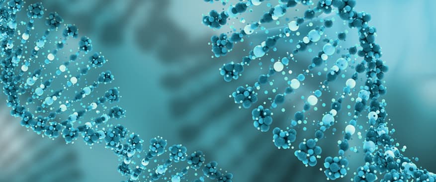 Safe and Effective Use of Autologous Stem Cells