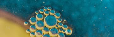 Stem cells