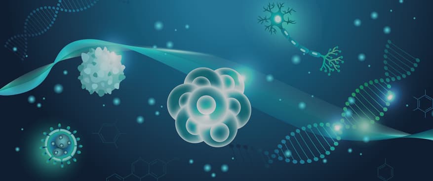 High-Concentration Activated Stem Cell Culturing Technology