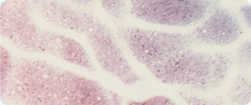 Authentic Products and Accurate Dosage image