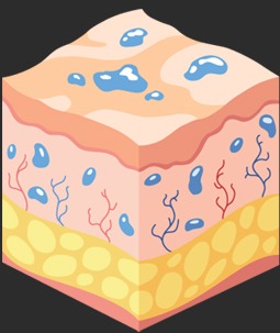 step 3 image