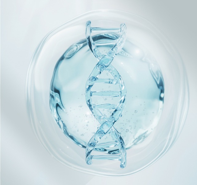 Stem Cell image